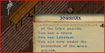 Guards.JPG