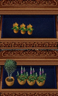 plants.jpg