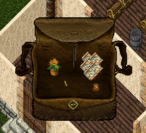 plant.jpg