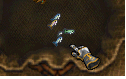 small fish 2.png
