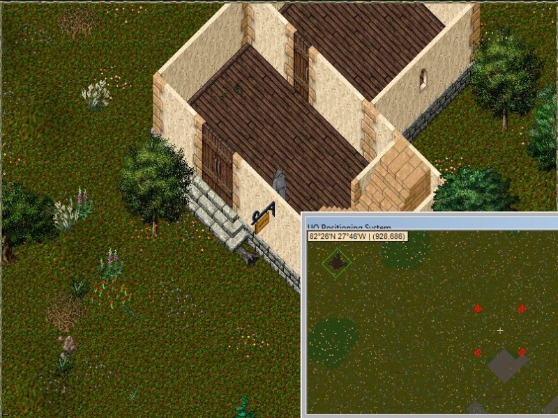 yew2.jpg