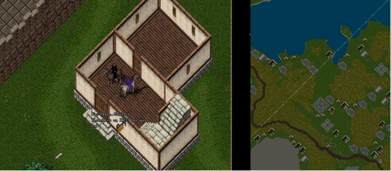 NT1.JPG