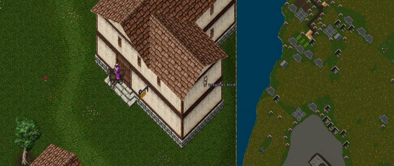 hedgemaze1.JPG