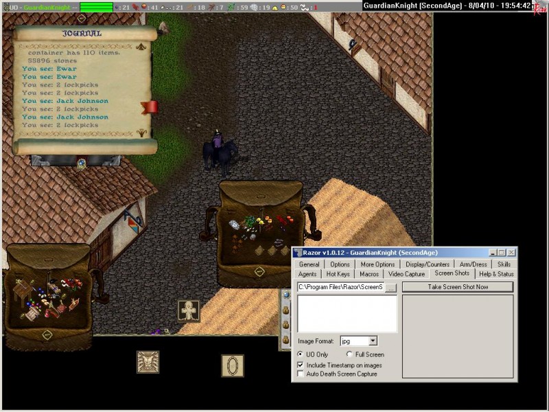 GuardianKnight_8-4_19.54.jpg