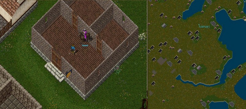 Yew1.JPG