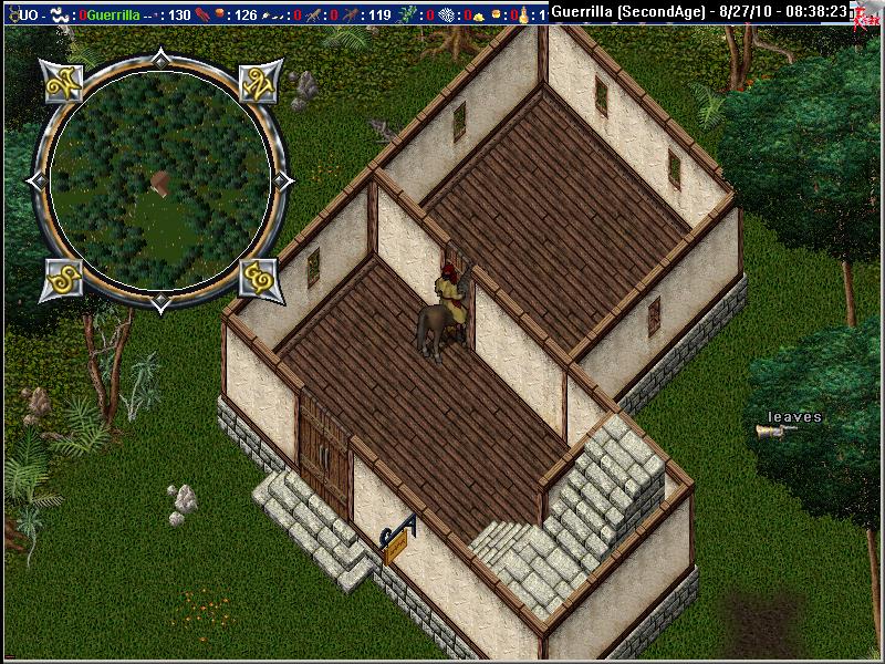 Guerrilla_8-27_08.38.jpg