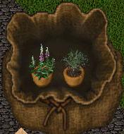 plants.jpg