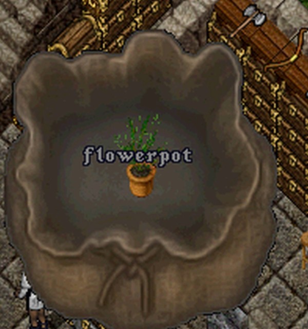 Lot4.jpg