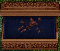 deamon bone box.jpg