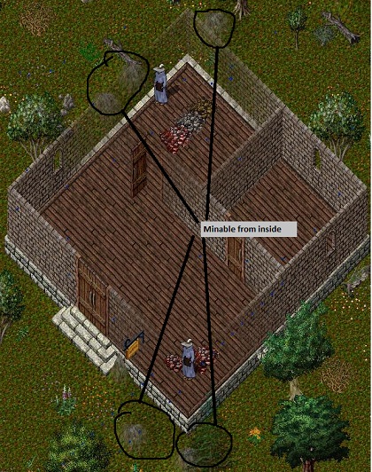 Large Brickyew.jpg